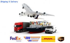 shipping總圖正